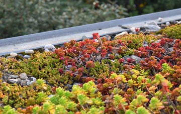 the cost of Friern Barnet green roof installation