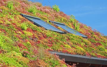 Friern Barnet living roof systems